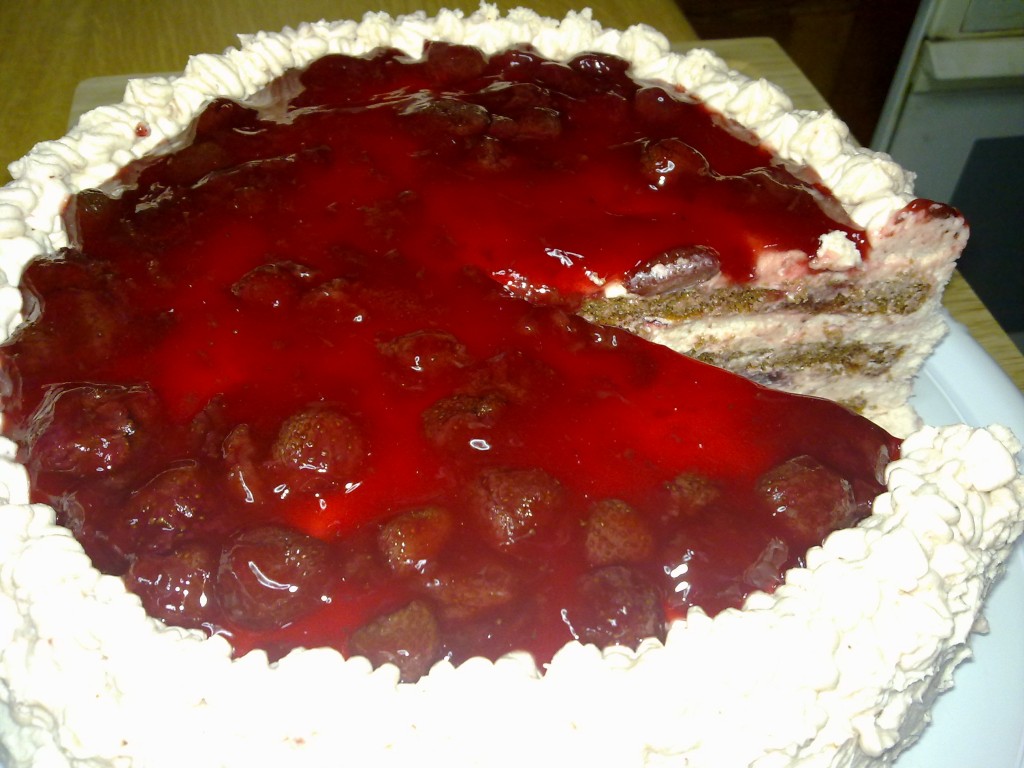 040820122981