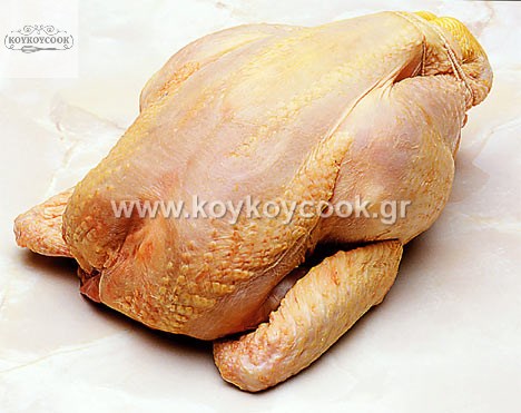 chicken